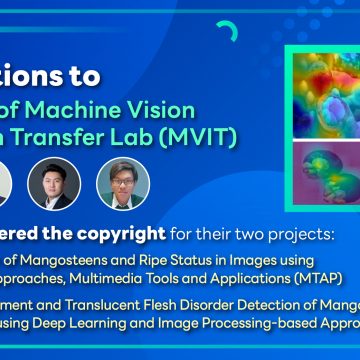 ICT Mahidol research team has successfully registered the copyright for their two projects: “Automatic Classification of Mangosteens and Ripe Status in Images using Deep Learning-based Approaches, Multimedia Tools and Applications (MTAP),” and “Automatic Grade Assessment and Translucent Flesh Disorder Detection of Mangosteens from Capturing Images using Deep Learning and Image Processing-based Approaches”